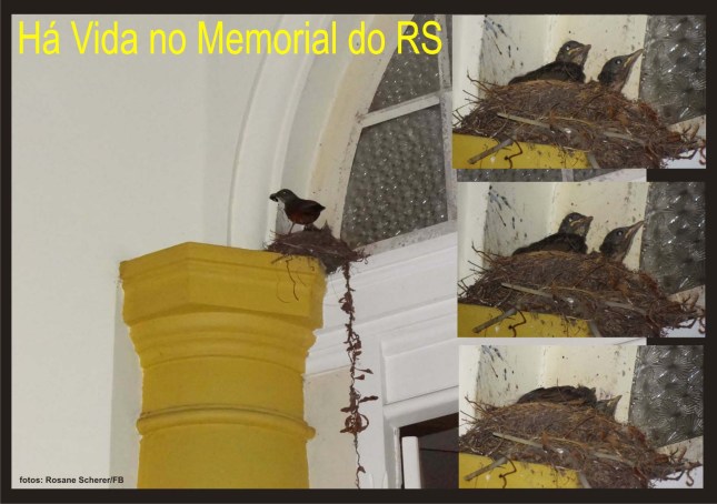 web Feira do Livro Fala Brasil! 6