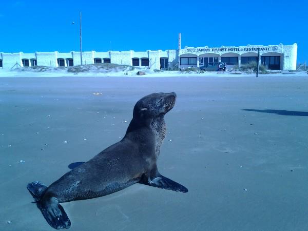 387027_357067741035544_498392274_n