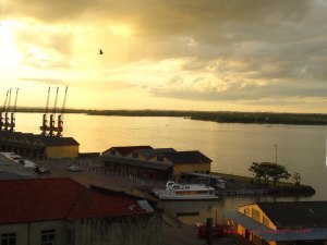 Fala Brasil Ft rosane scherer8169