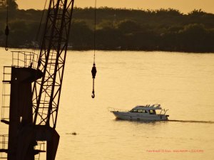 Fala Brasil Ft rosane scherer8180